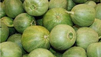 甜瓜概念爆料视频大全最新,揭秘热门甜瓜背后的故事与魅力