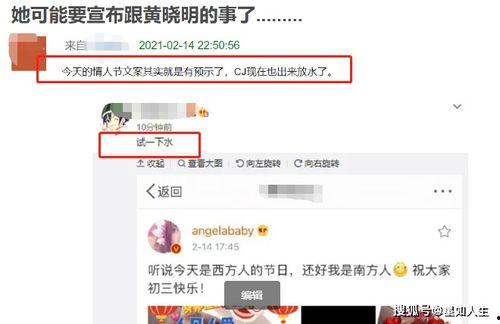 娱记最新爆料大全,娱乐圈幕后真相大揭秘